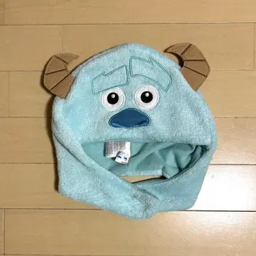 디즈니 샐리 팬캡