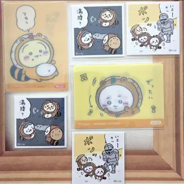 치이카와 (먼작귀) 하치와레 토끼 보상 주머니 체인지 카드 타누키다몽