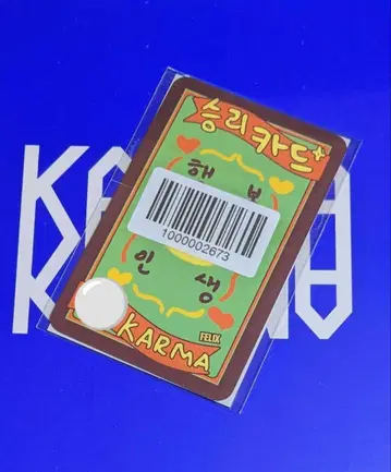 straykids KARMA 리얼 터치 포토 카드 스키즈 필릭스