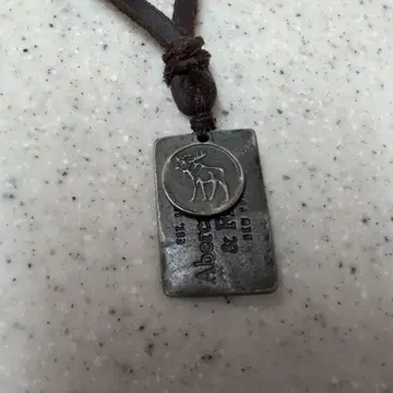 Abercrombie & Fitch 플레이트 목걸이