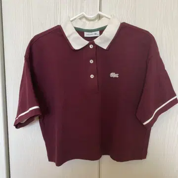 라코스테 숏 기장 피케 셔츠