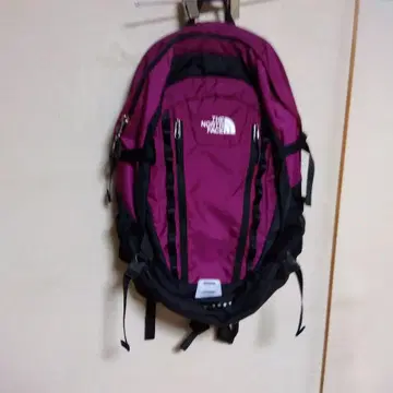 THE NORTH FACE 백팩 퍼플 새상품급