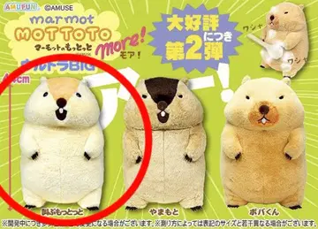 마모트의 모토토모아! 울트라 BIG 봉제 인형 택 포함 새상품