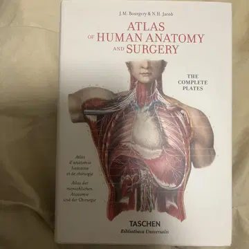 ATLAS OF HUMAN ANATOMY AND SURGERY