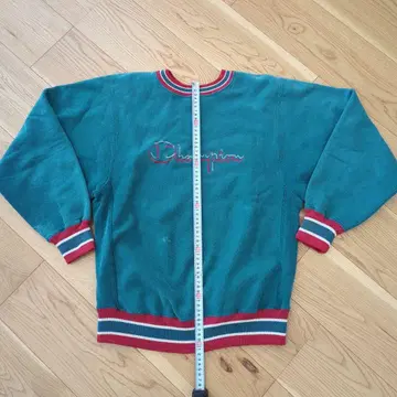 Champion 리버스 위브 90s
