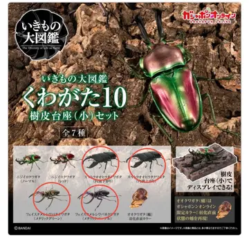 [새상품] 가샤폰 온라인판 생물대도감 사슴벌레 10 수피 받침대 포함
