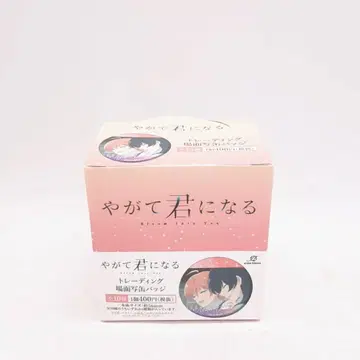 이윽고 네가 된다 트레이딩 장면 사진 캔뱃지 BOX