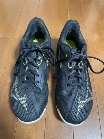 MIZUNO 미즈노 웨이브 엑시드 라이트 2 테니스화 28