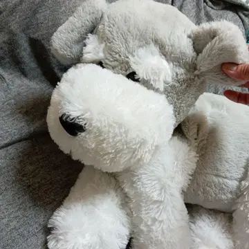 슈나우저 봉제 인형 약 50cm 그레이