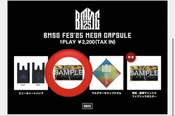 BMSG FES'25 메가 캡슐 가챠 패브릭 포스터 익명 배송