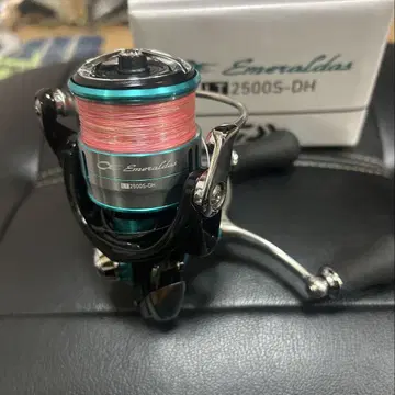 다이와 19 에메랄다스 LT2500S-DH