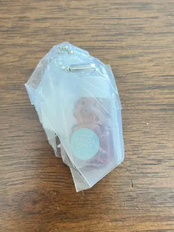 지구의 산책 하와이 기념품 미니어처 컬렉션 마노아 허니