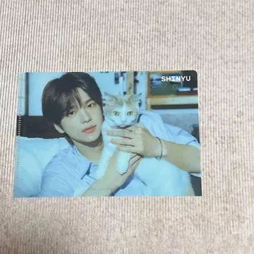 TWS 신유 JOYSOUND 조이 사운드 미니 클리어 파일 콜라보 혜택