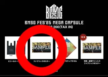 [ 새상품, 미사용 ] BMSG FES'25 메가 캡슐 패브릭 포스터
