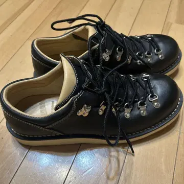 Danner 마운틴 릿지 로우 블랙 9인치