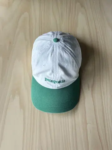 파타고니아 피츠로이 아이콘 트레디셔널 캡