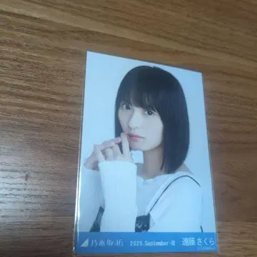 노기자카46 엔도 사쿠라 브로마이드 요리