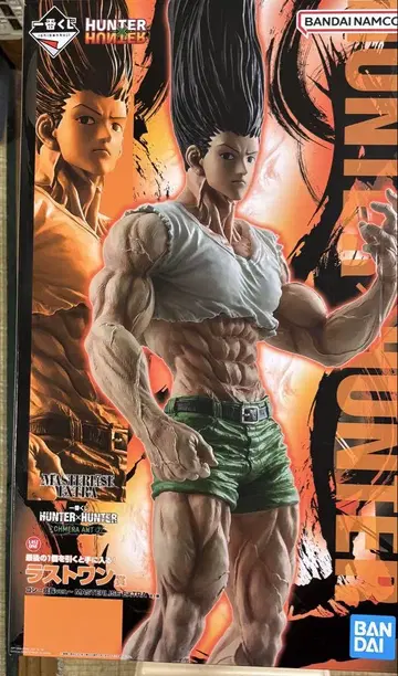 HUNTER x HUNTER 곤 프리크스 피규어 라스트 원상
