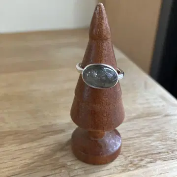루틸의 열매 플라티나 루틸 쿼츠 침수정