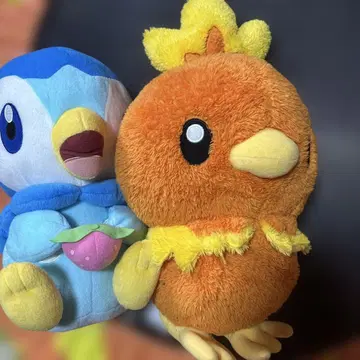 [가격 인하] 팽도리 아차모 포켓몬 봉제 인형 세트