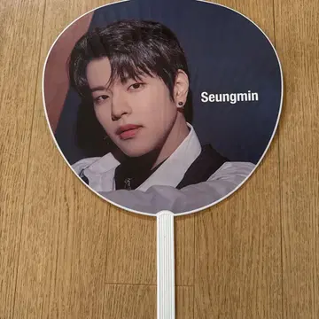 Seungmin 부채 Stray Kids ALLIN