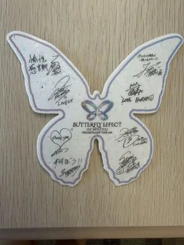 BUTTERFLY EFFECT FANTASTICS 낙하물