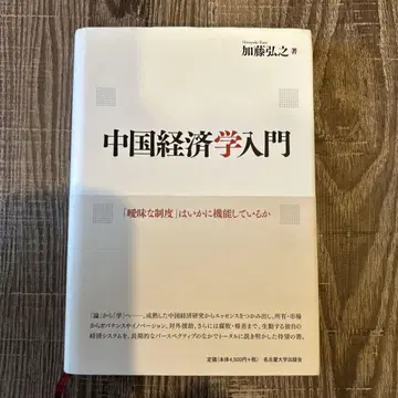 중국 경제학 입문 [모호한 제도]는 어떻게 기능하고 있는가