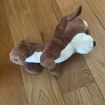 시바견 봉제 인형