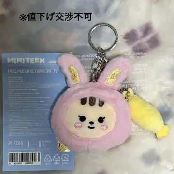 SEVENTEEN MINITEEN 정한 라무 키링