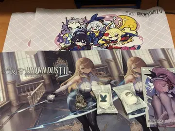 TGS2025 브라운더스트2 종이 매트 클리어 파일
