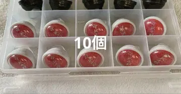 앙스타 린라이 모리사와 치아키