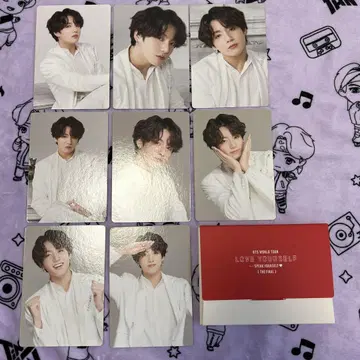 BTS LYS SYS FINAL 미니 사진 컴프 정국