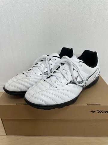 미즈노 모나르시다 네오 트레이닝 슈즈