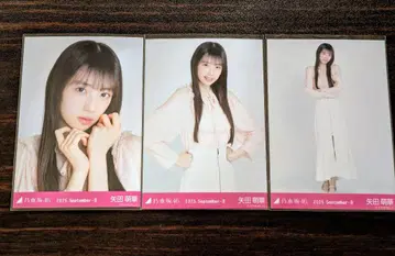 노기자카46 생사진 어깨 트임 상의 야타 모에카 컴프
