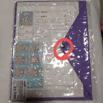 오오사카 소고 이력서