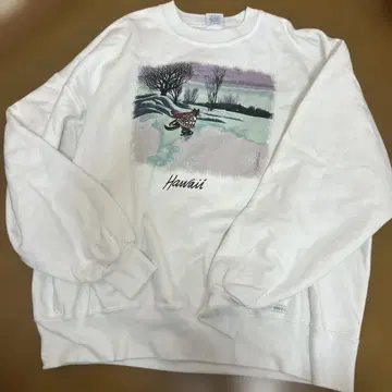 레어 90s USA제 빈티지 Crazy shirt 크리밤캣 맨투맨