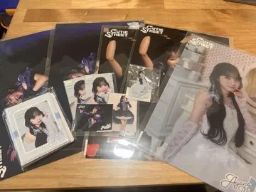 마스다 아야노 스키복권