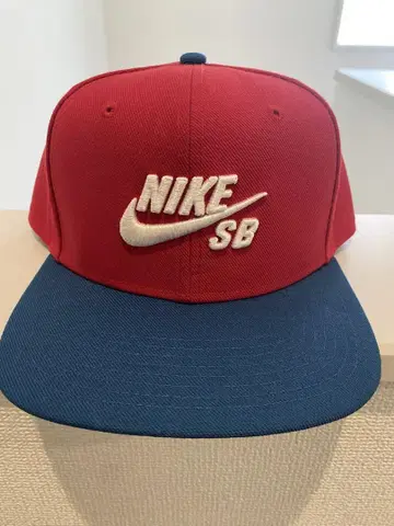 나이키 SB 캡