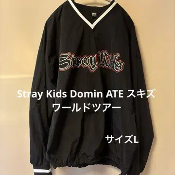Stray Kids Domin ATE 스키즈 월드 투어 게임 셔츠