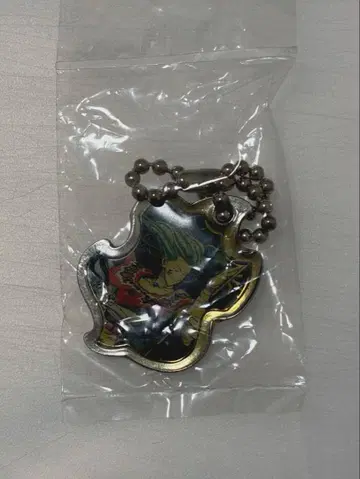 HUNTER x HUNTER 구 애니메이션 히소카 키링 레어