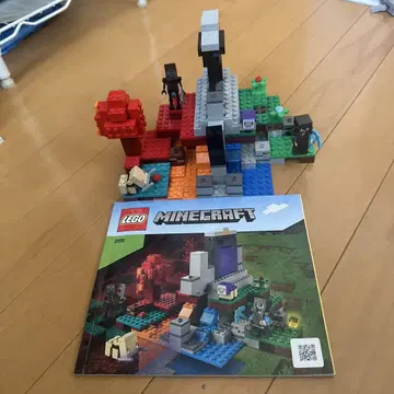 LEGO 마인크래프트 21152