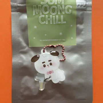 NCT127 SOM-MOONG-CHILL 랜덤 키링 정우