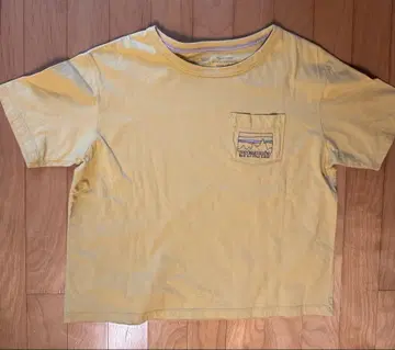 파타고니아 Organic Cotton T