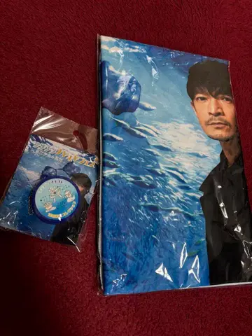 츠다 켄지로 츠다켄치야 호야 페스티벌