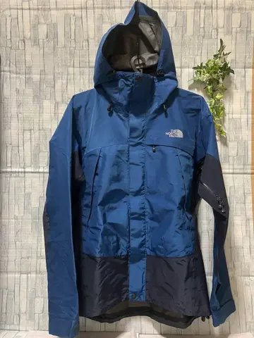 THE NORTH FACE SUMMIT 마운틴 후드티