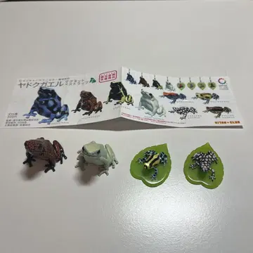 네이처 테크니컬러 독개구리 2 4종