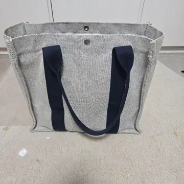 Francois Renier TEMS CAB37 Marine 토트