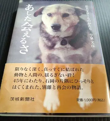 내일 만날 수 있어 충견 타로 이야기