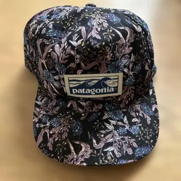 patagonia 야구 모자