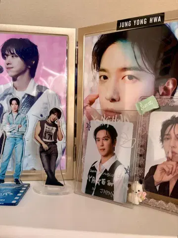 욘화 세트